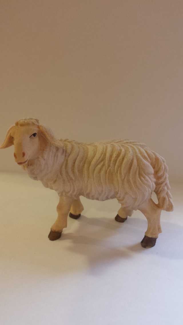 Artikel Nr 2390: 801521/20 - Schf stehend linkssschauend zu Kostner 20cm bemalt